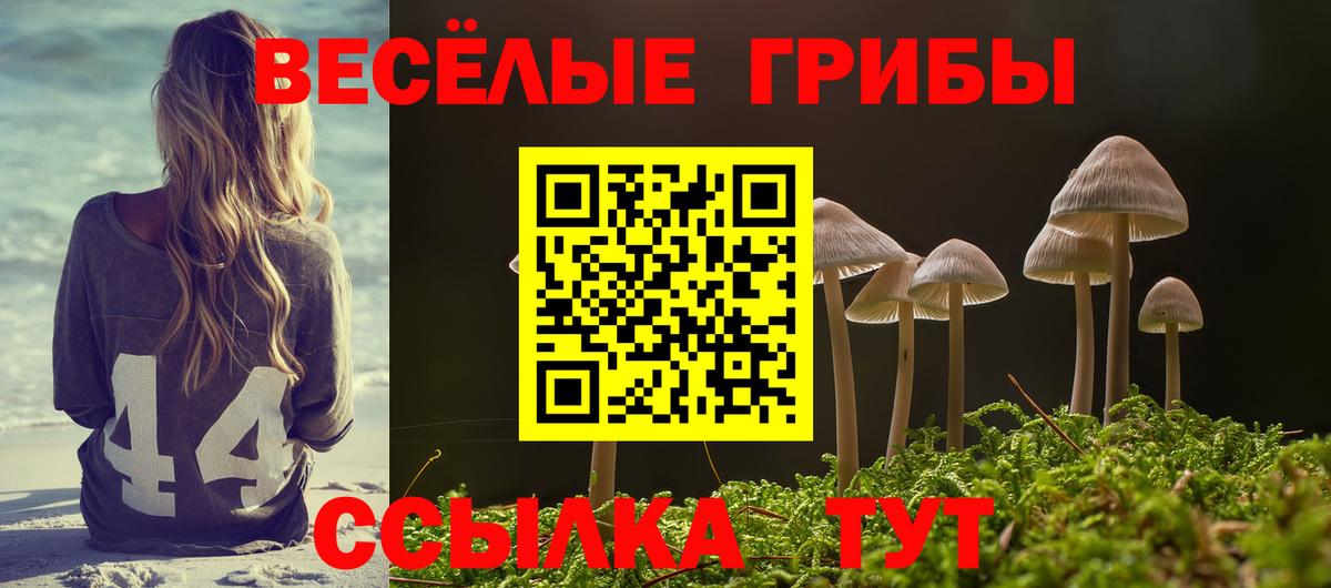 Галлюциногенные грибы MAGIC MUSHROOMS  Вход с VPN  Псилоцибиновые грибы мухоморы  Димитровград 
