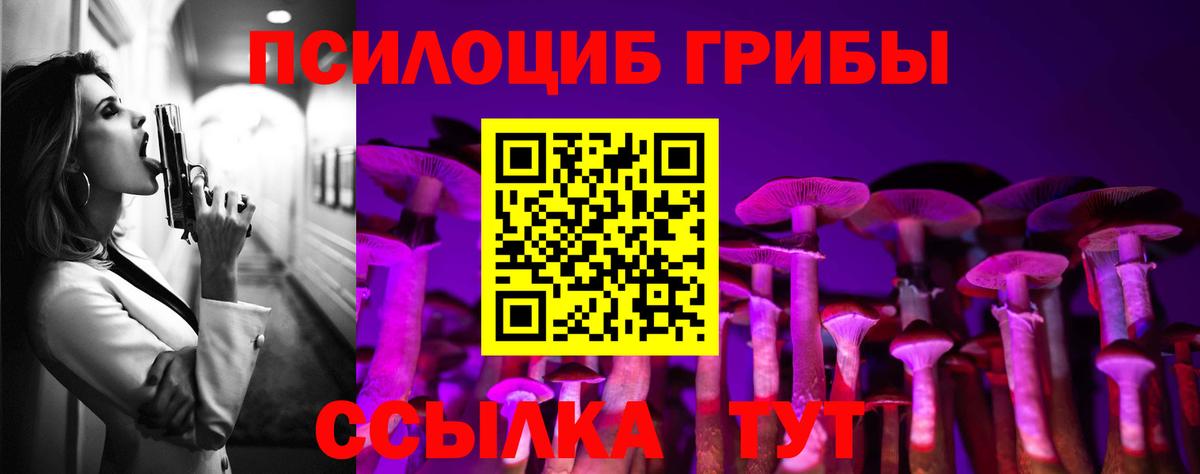 Псилоцибиновые грибы ЛСД Димитровград